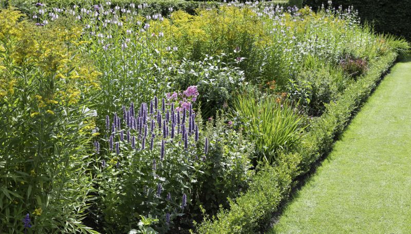 Native Plant Replanting