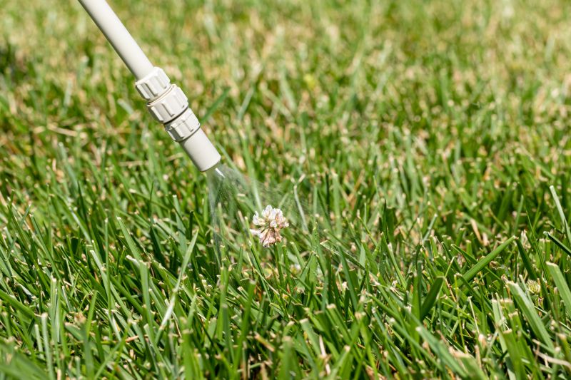 Crabgrass Removal in Honolulu, HI