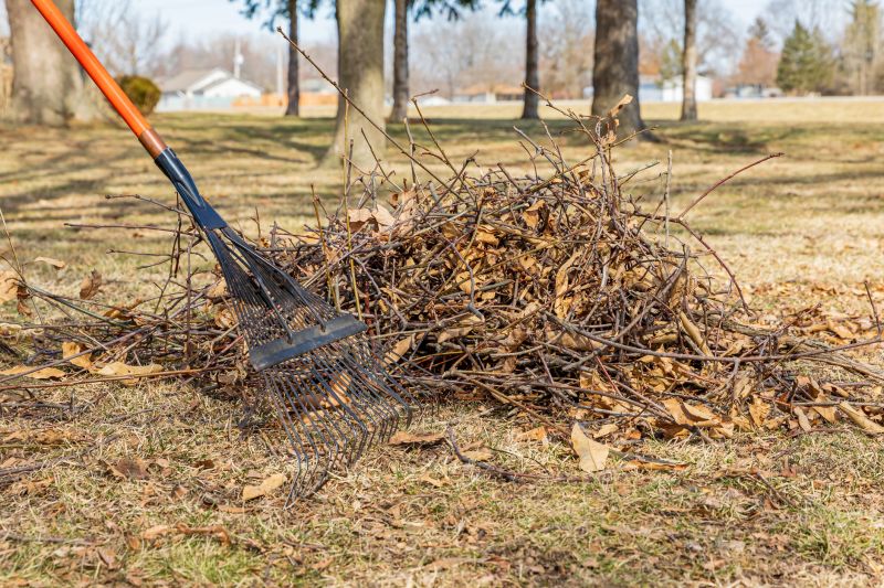 Lawn After Leaf Removal