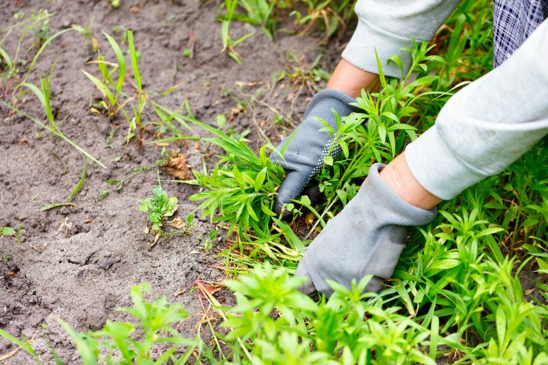 Honolulu, HI