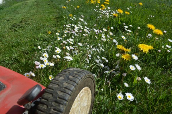 Excessive Vegetation Control